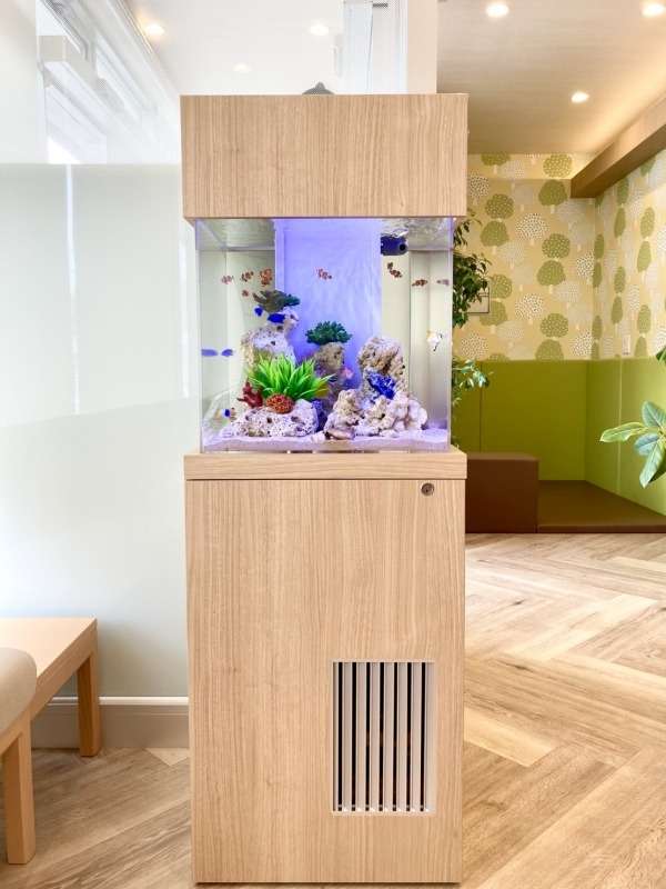 小児科待合室に設置した45センチ海水魚水槽